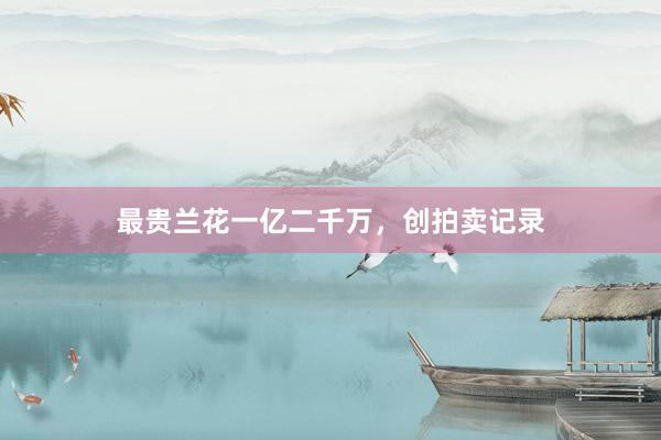 最贵兰花一亿二千万,创拍卖记录
