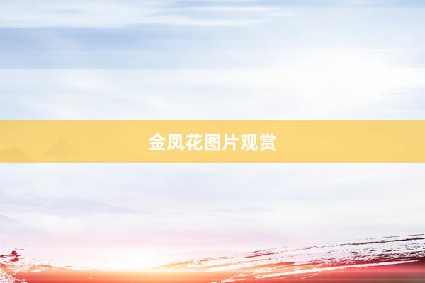 金凤花图片观赏