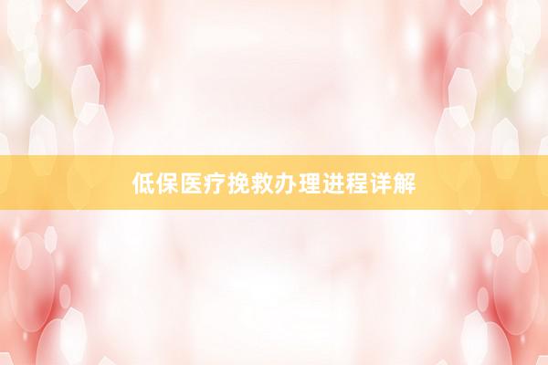 低保医疗挽救办理进程详解