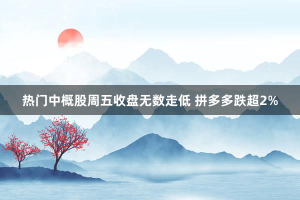 热门中概股周五收盘无数走低 拼多多跌超2%