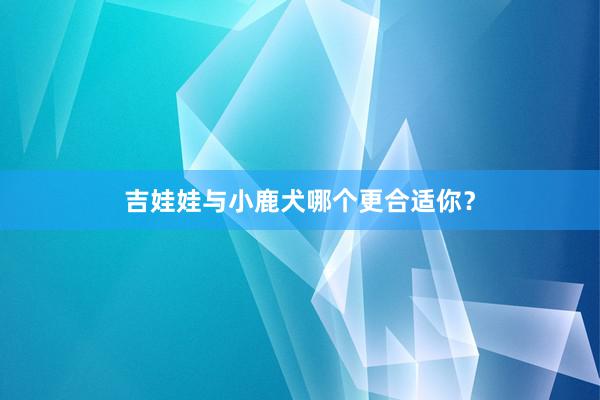 吉娃娃与小鹿犬哪个更合适你？